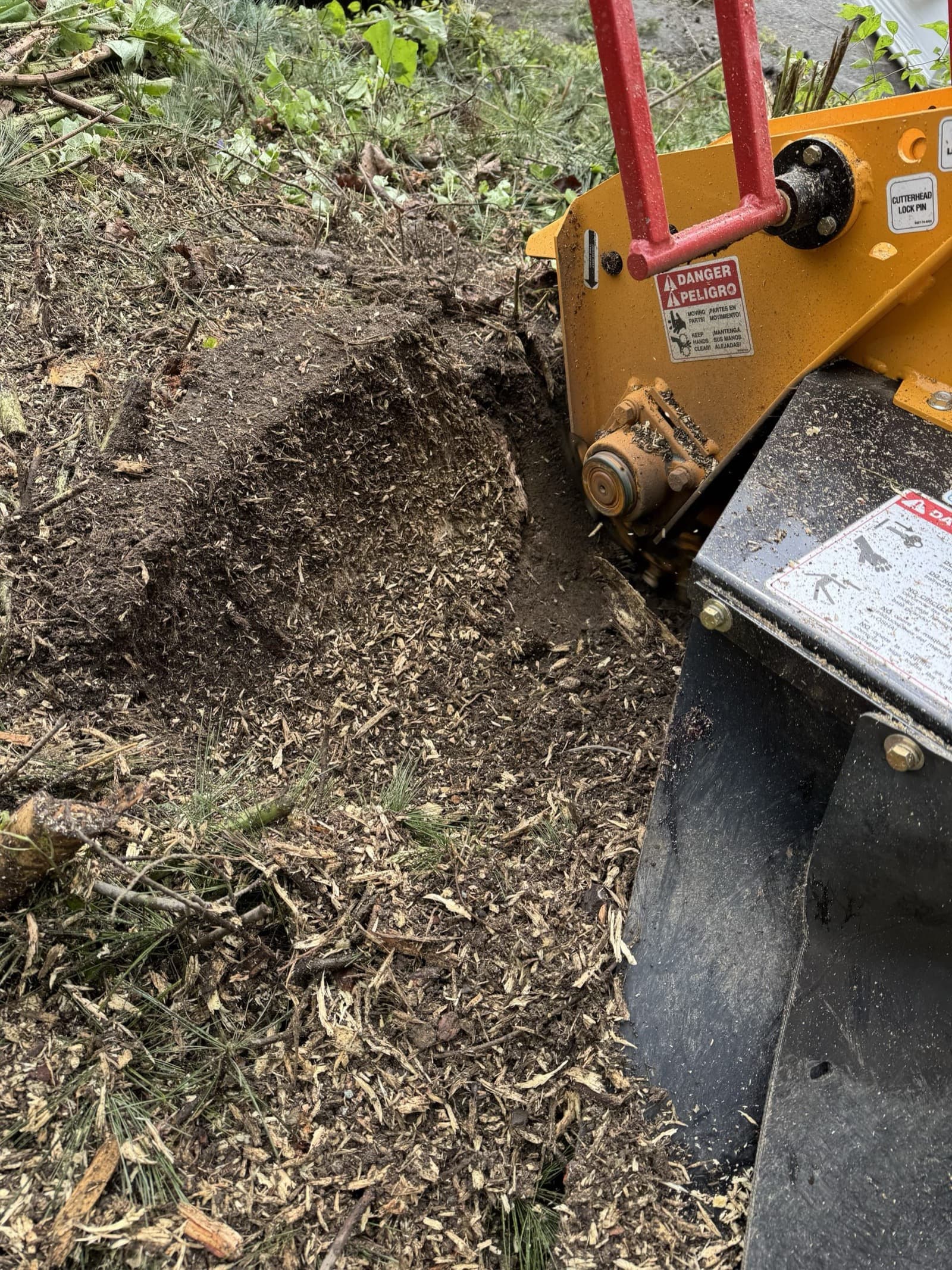 Close-up Stump Grinding in Washington County PA