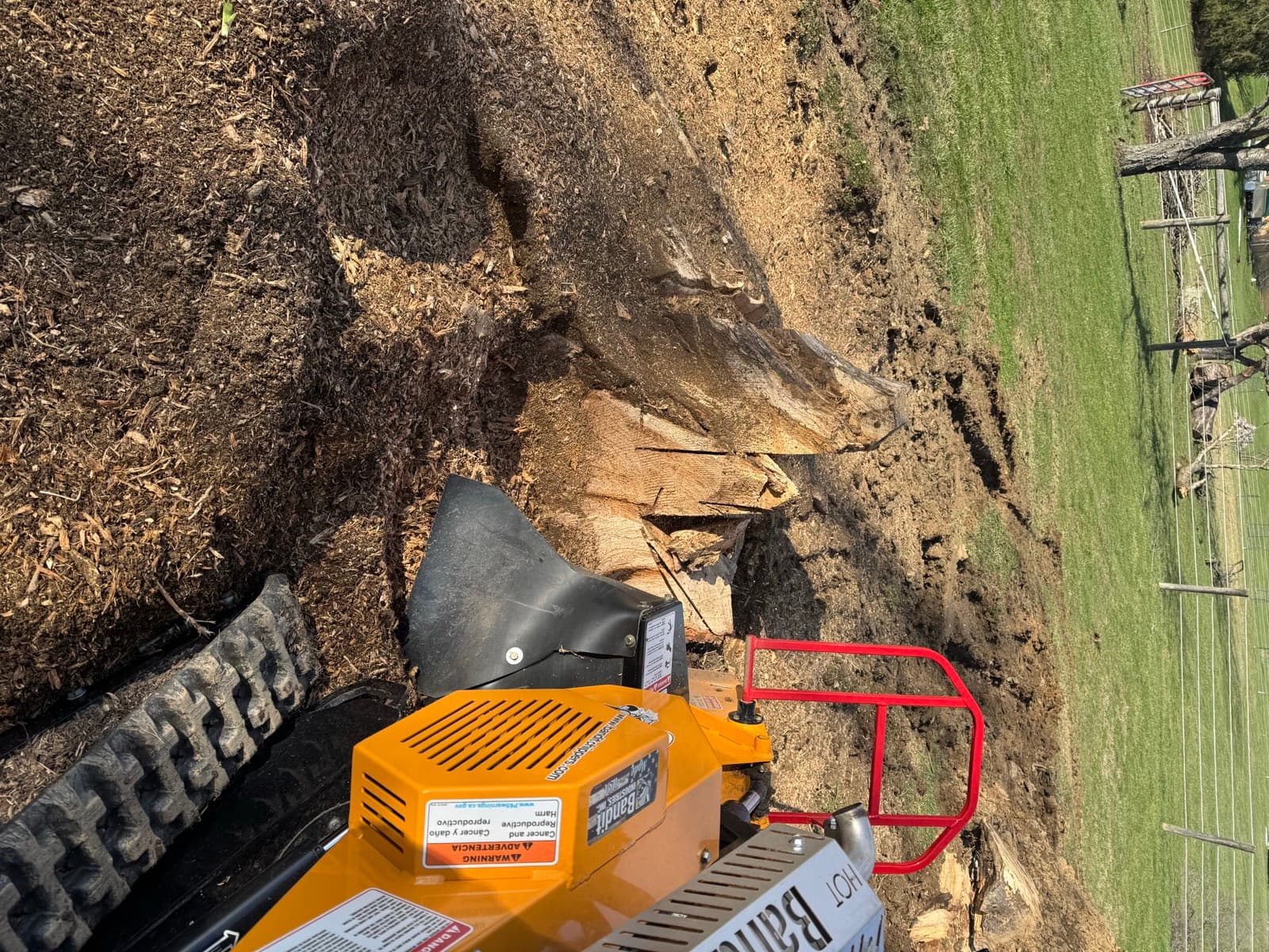 Large Stump Grinding - Professional Equipment